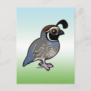 Cute California Quail Postcard