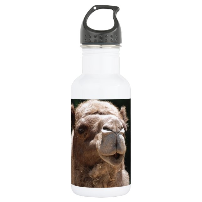 Cute Camel 532 Ml Water Bottle (Front)