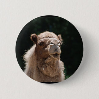 Cute Camel 6 Cm Round Badge