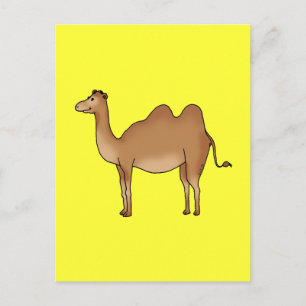Cute camel postcard