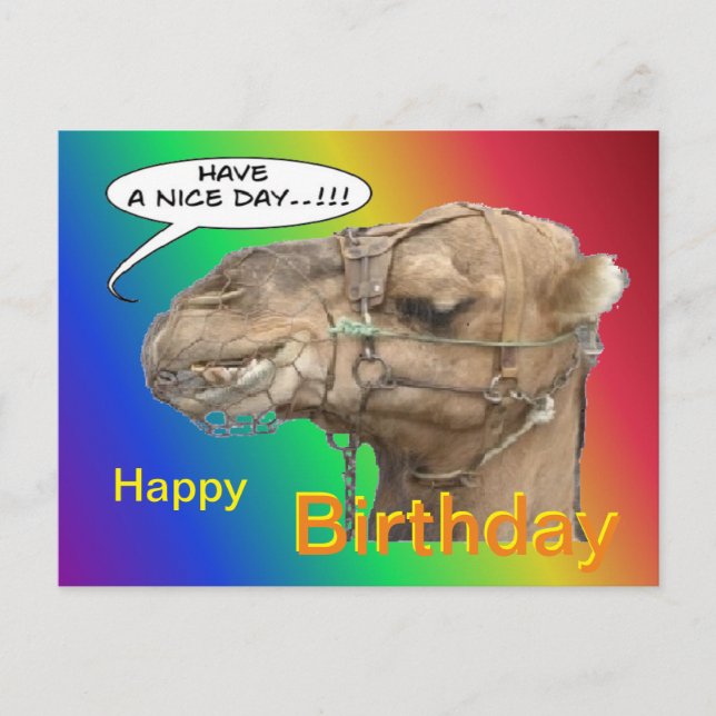 Cute Camel Rainbow Happy Birthday Postcard (Front)
