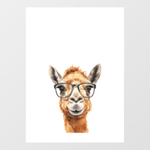 Cute camel with glasses