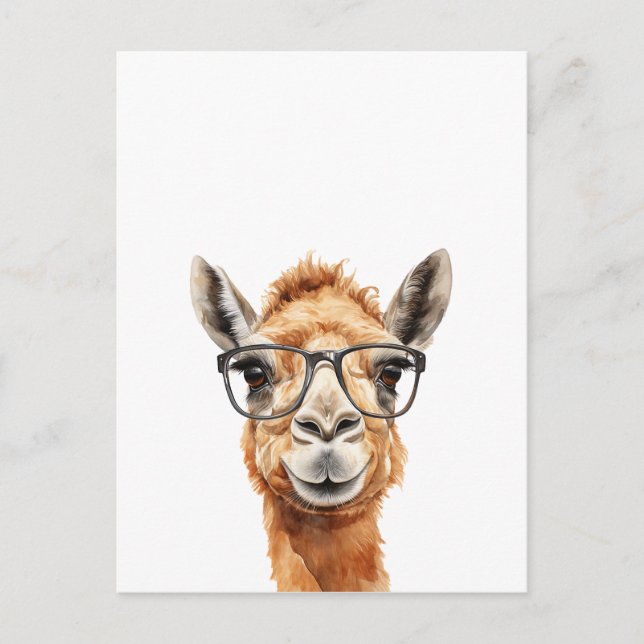 Cute camel with glasses postcard (Front)
