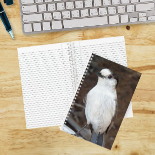 Cute Canada Jay Photo Notebook