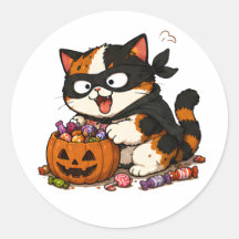 Cute Candy Thief Calico Cat