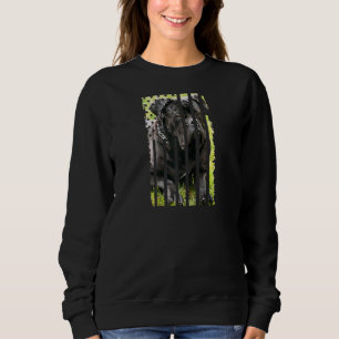 Cute Cane Corso Dog Picture Funny Puppy American F Sweatshirt