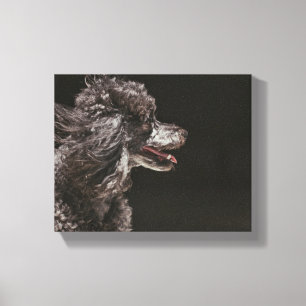 Cute Canvas Print