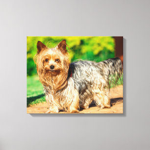 Cute Canvas Print