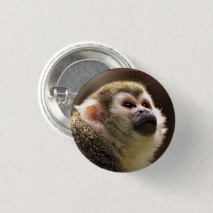 Cute Capuchin Monkey Face 3 Cm Round Badge