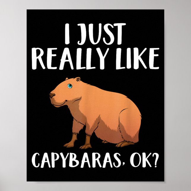 Cute Capybara Art For Men Women Kids Animal Rodent Poster (Front)