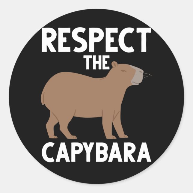 Cute Capybara Lover Animal Awareness Classic Round Sticker (Front)