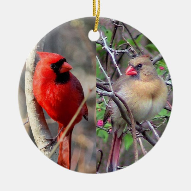 Cute Cardinals Ceramic Tree Decoration (Front)