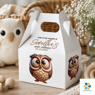 Cute Caricature Owl Baby Boy Shower Favour Box
