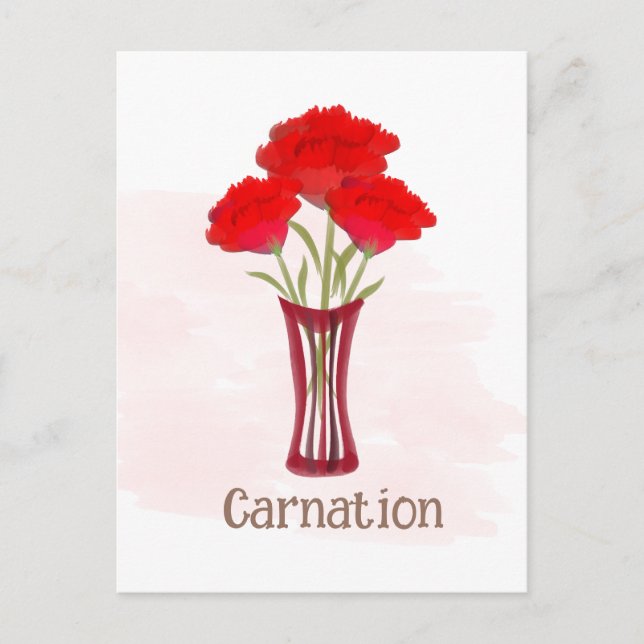Cute Carnation January Birth Month Postcard (Front)