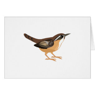 Cute Carolina Wren