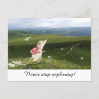 Cute Cartoon Mouse Journey 