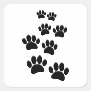 Cute Cartoon Pet Paw Trail Blck Square Sticker