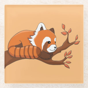 Cute Cartoon Red Panda in Tree Glass Coaster