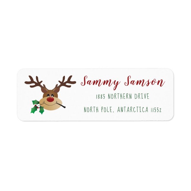 Cute Cartoon Reindeer With Mistletoe (Front)