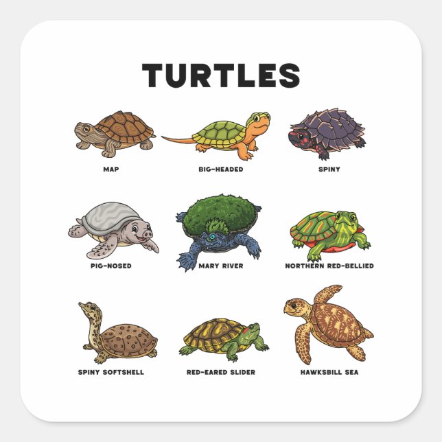 Cute Cartoon Turtles of the World Square Sticker (Front)