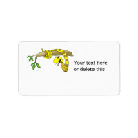 Cute Cartoon Yellow Snake in a Tree Reptile