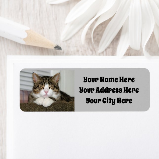 Cute Cat (Insitu)