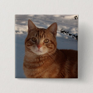 Cute Cat 15 Cm Square Badge