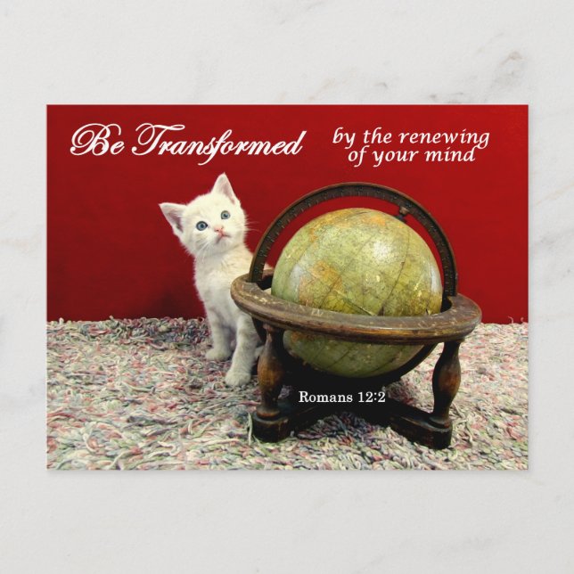 Cute Cat and Romans 12:2 Bible Verse Postcard (Front)