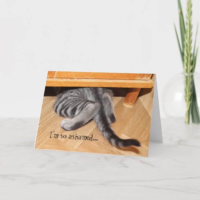 Cute Cat Apology Funny Sorry So Ashamed Card (Front)