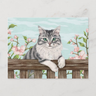  Cute Cat Art Kitten Funny Animal Cats Holiday Postcard