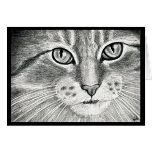 Cute cat art realism pencil drawing