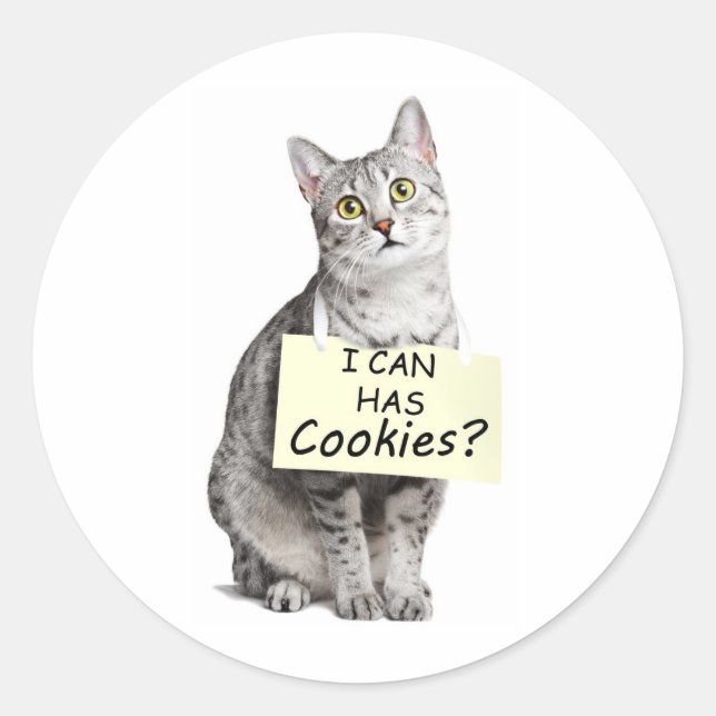 Cute Cat asks I can Has Cookies? Classic Round Sticker (Front)
