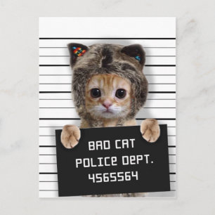 Cute cat bad boy postcard