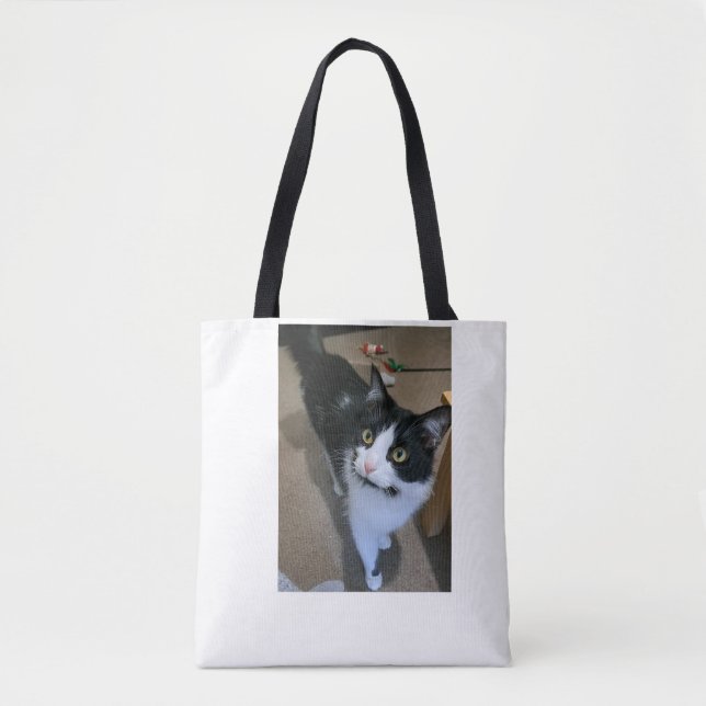 Cute cat bag (Front)