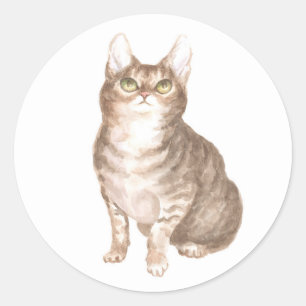 Cute Cat Brown Tabby Kitten Rescue Kitty Lover Mum Classic Round Sticker