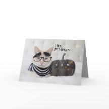 Cute Cat Bushy Eyebrows And Glasses Halloween