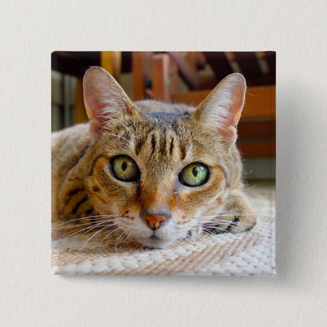 Cute Cat button (Front)