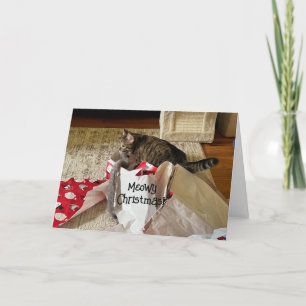Cute Cat Christmas, enjoying present custom cards