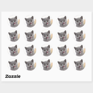 Cute cat classic round sticker