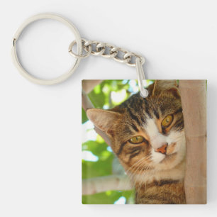 Cute Cat Climbing a Tree Key Ring