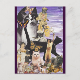 Cute Cat Collage 4 Postcard