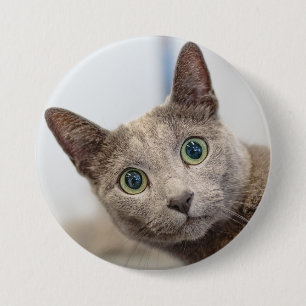 Cute cat-custom pet photo Button
