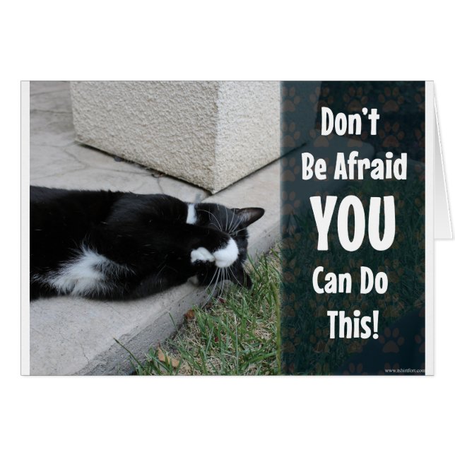 Cute Cat Do Not Be Afraid (Front Horizontal)
