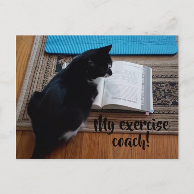 Cute Cat Exercise Coach Your Text Postcards (Front)