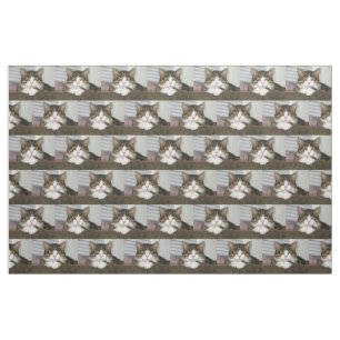 Cute Cat Fabric