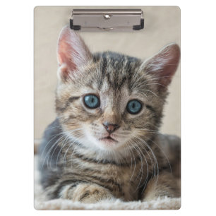 Cute Cat Face Clipboard