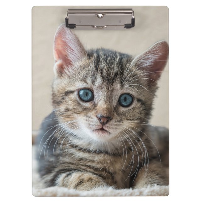 Cute Cat Face Clipboard (Front)