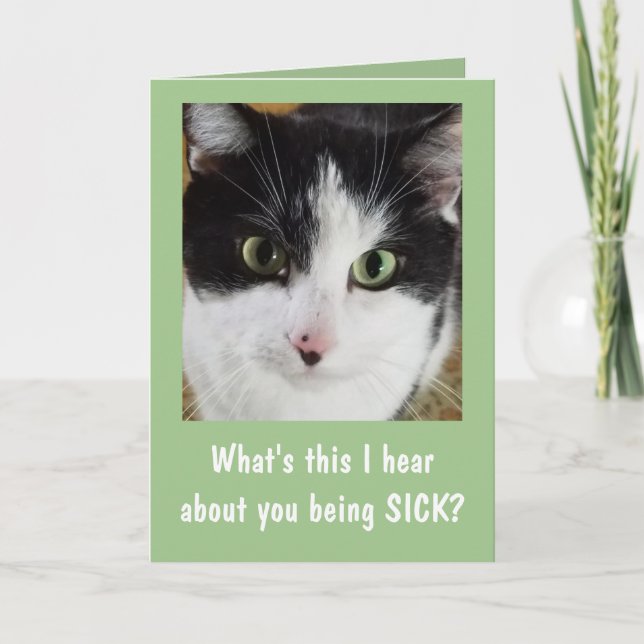 Cute Cat Get Well Card (Front)