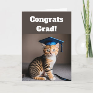 Cute Cat Graduation Card