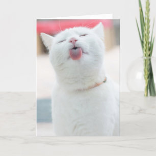 Cute Cat Greeting Card